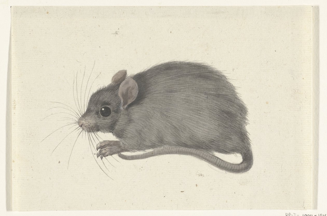 Mouse, Facing Left by Jean Bernard