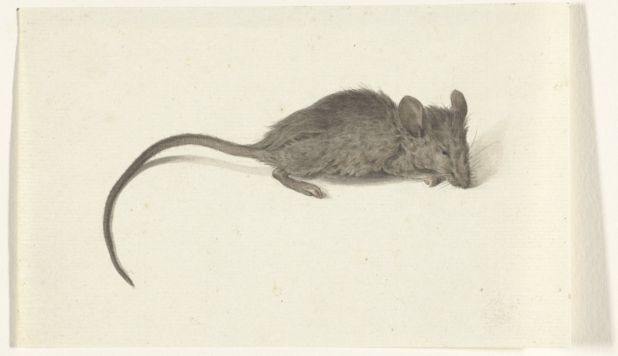 Mouse, Facing Right by Jean Bernard