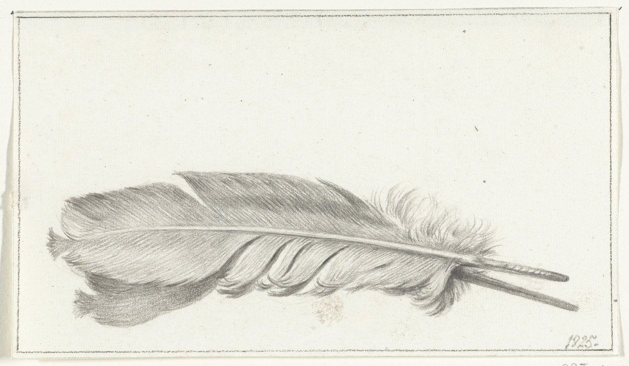 Feather by Jean Bernard