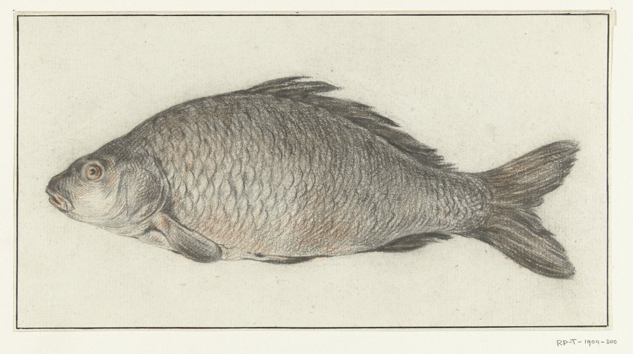 Fish by Jean Bernard