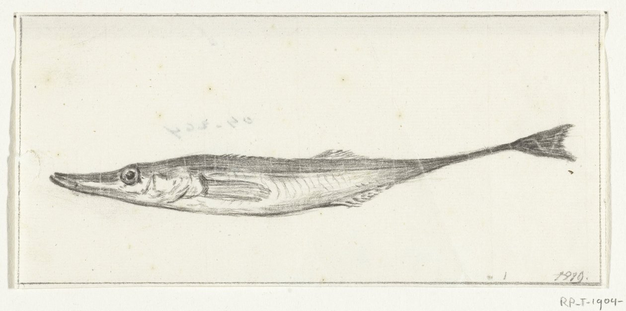 Fish by Jean Bernard