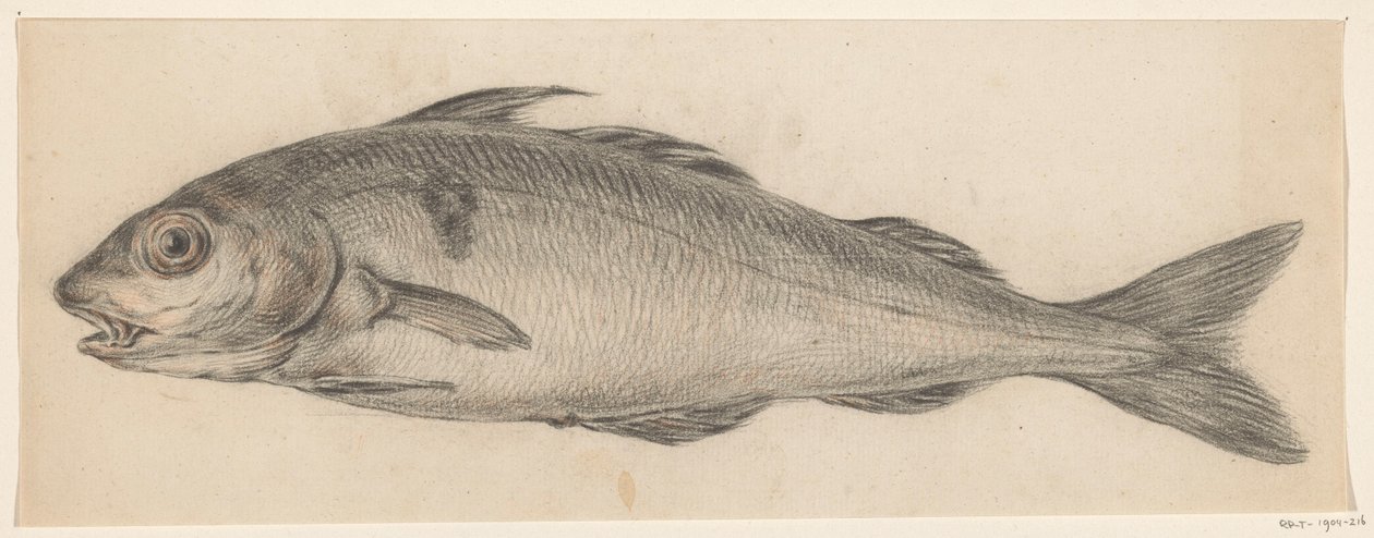 Fish, facing left by Jean Bernard