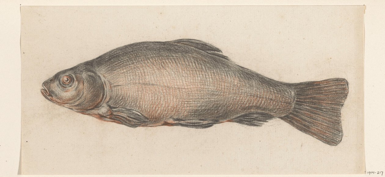 Fish, Facing Left by Jean Bernard