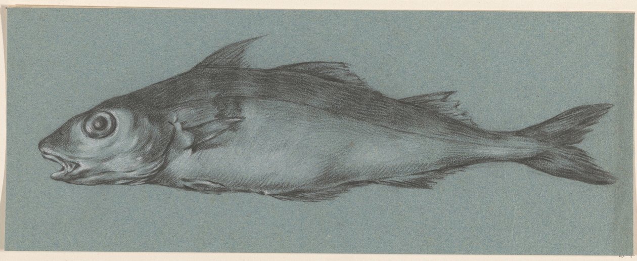 Fish, Facing Left by Jean Bernard