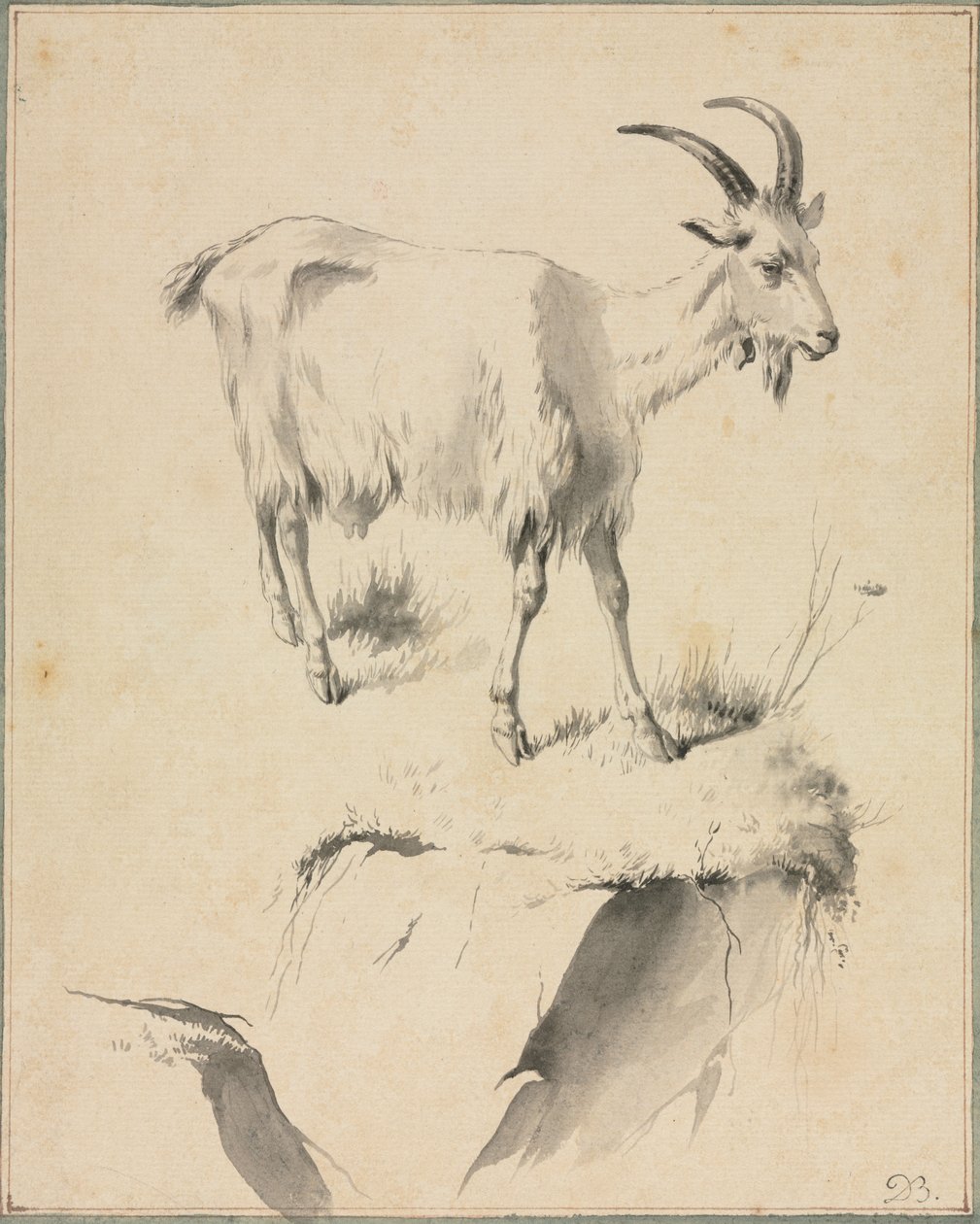 Study of a Goat by Jean Jacques de Boissieu