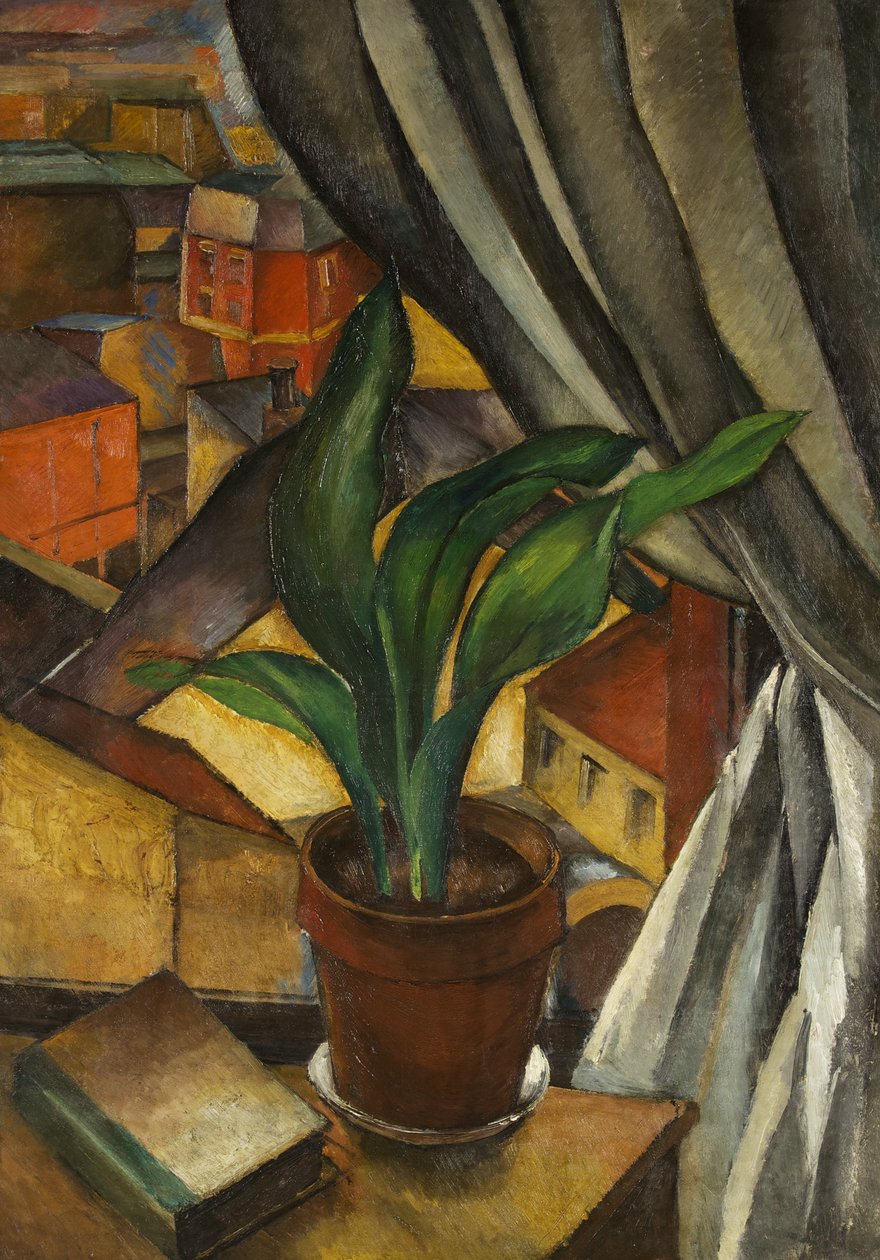 The Aspidistra by Jean Marchand