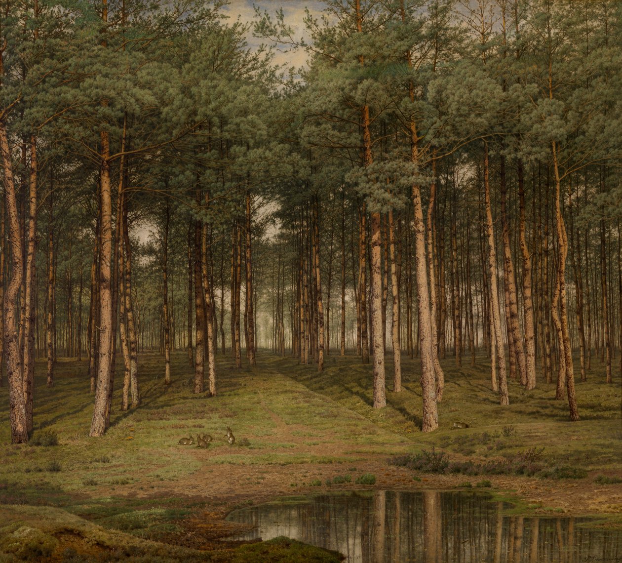 Fir Wood at Putte by Jean Pierre Francois Lamoriniere