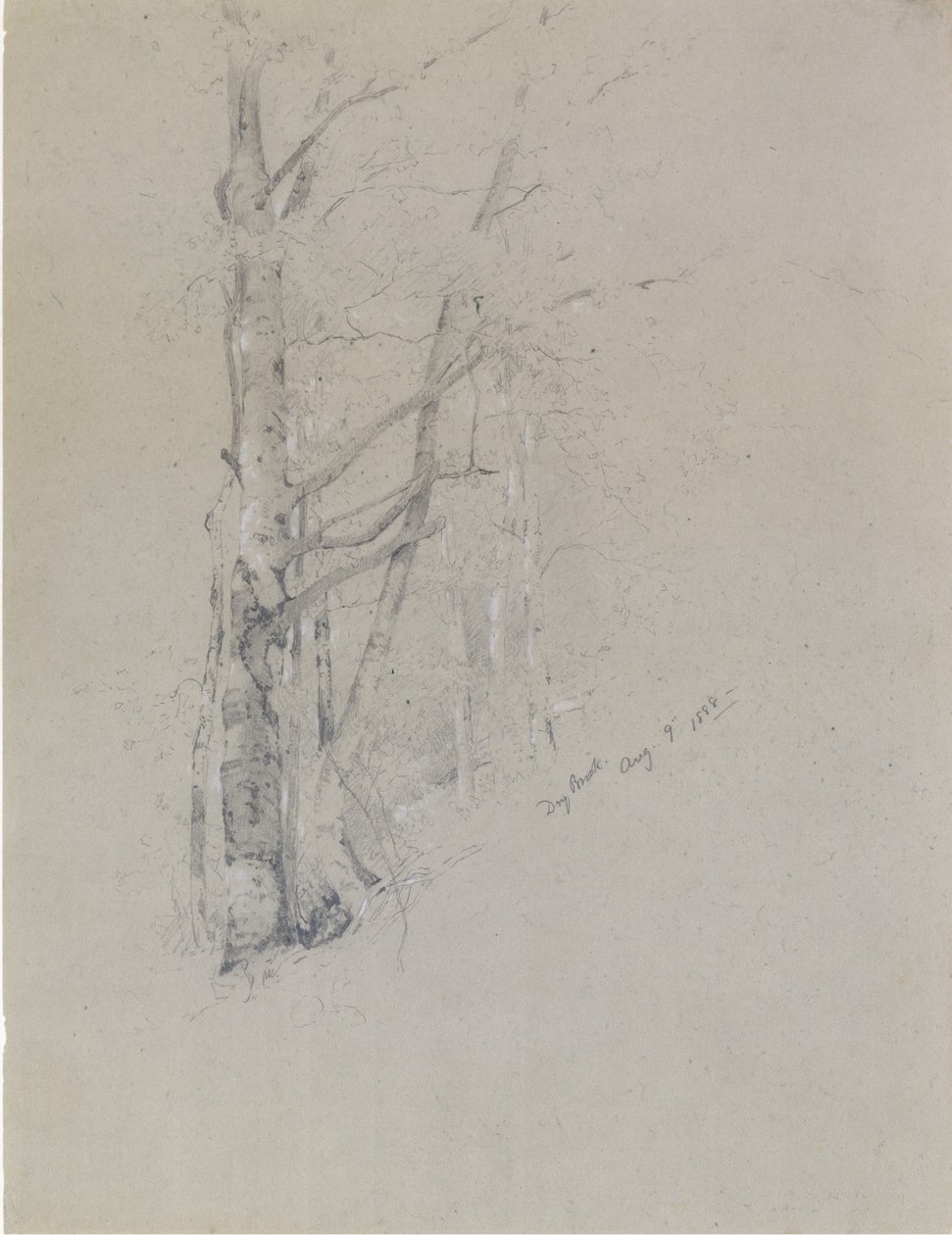 Dry Brook by Jervis McEntee