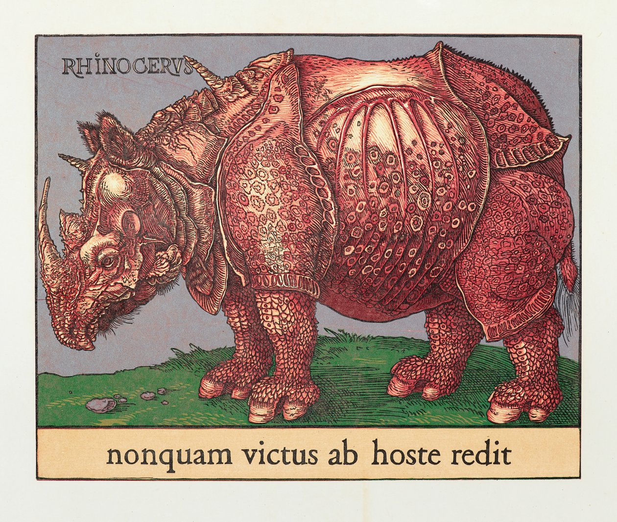 Red Rhino, 2007 by Jim Monson