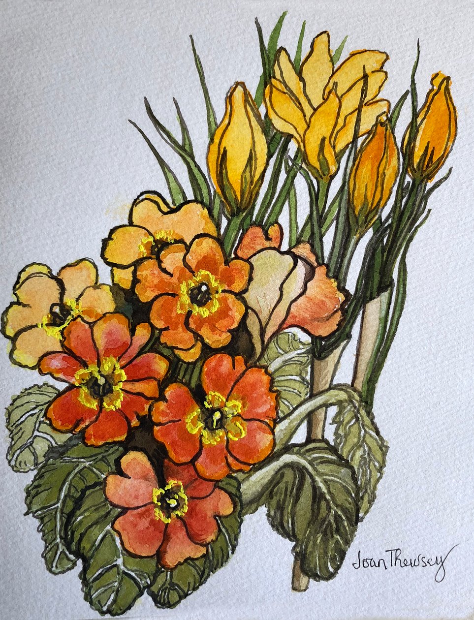 Crocus and Primroses by Joan Thewsey