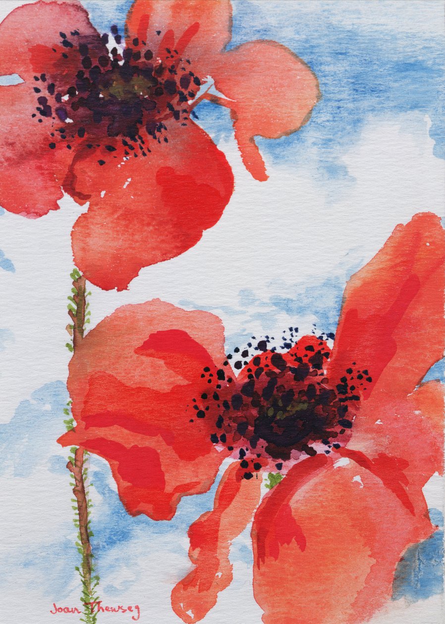 Poppies by Joan Thewsey
