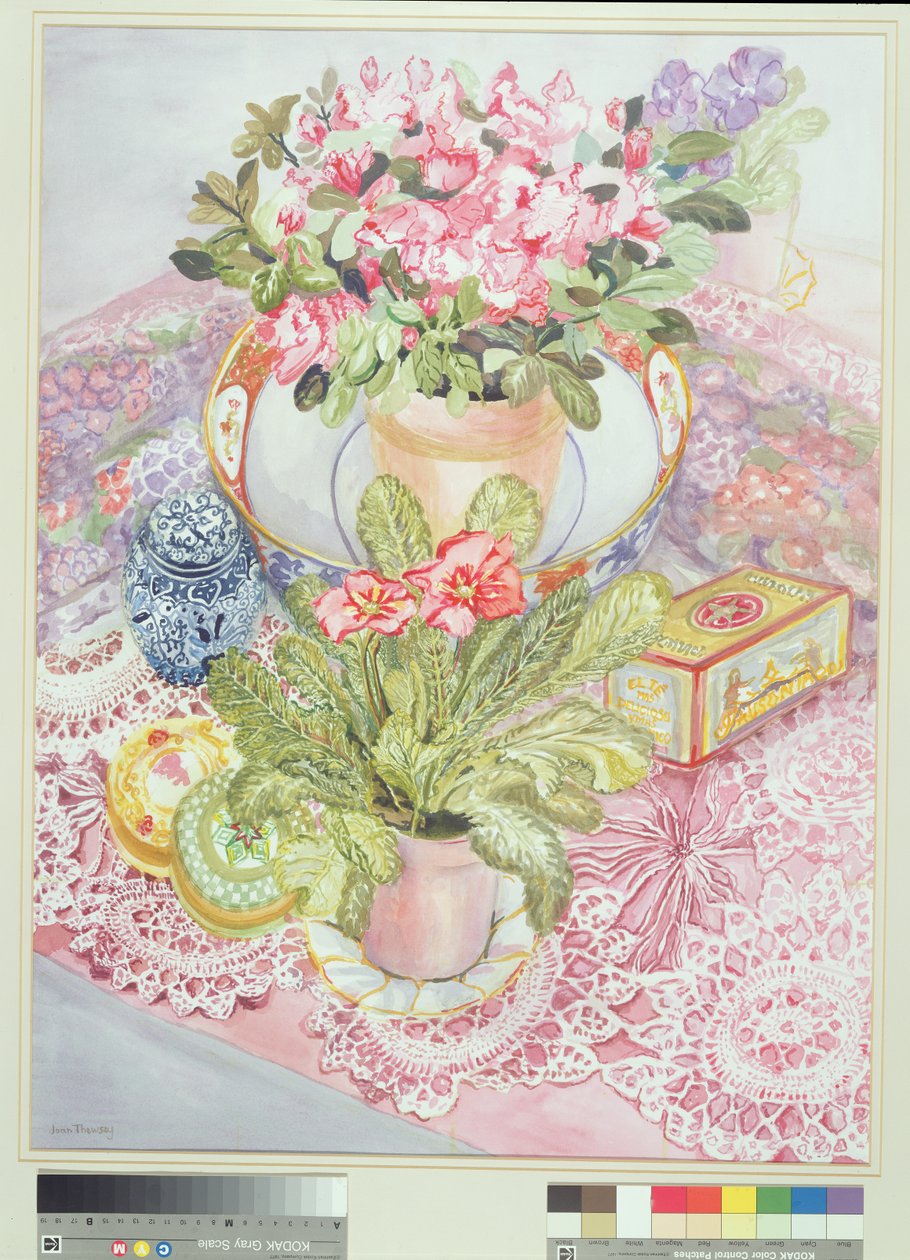 Primrose and Azalea by Joan Thewsey