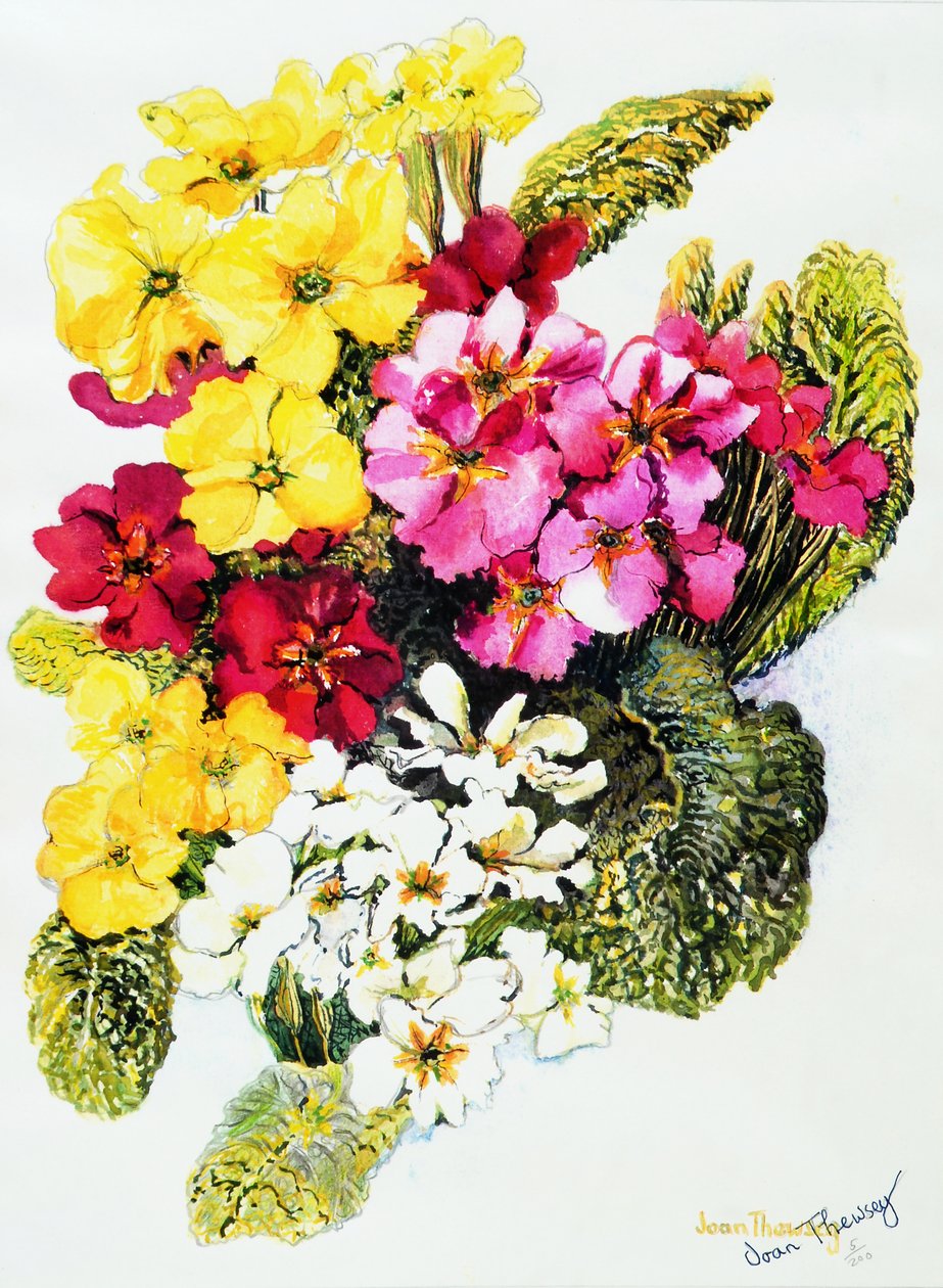 Primroses, White, Yellow, Pink and Red, 2000 by Joan Thewsey