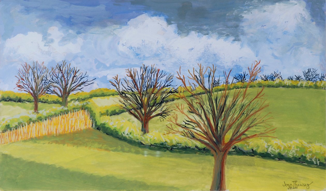 Suffolk Spring Sky by Joan Thewsey