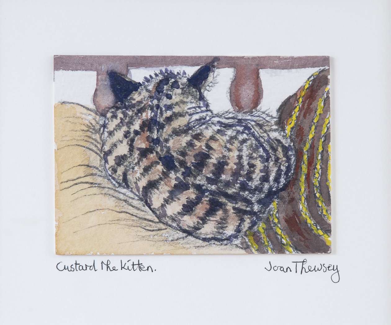 Custard the Kitten by Joan Thewsey