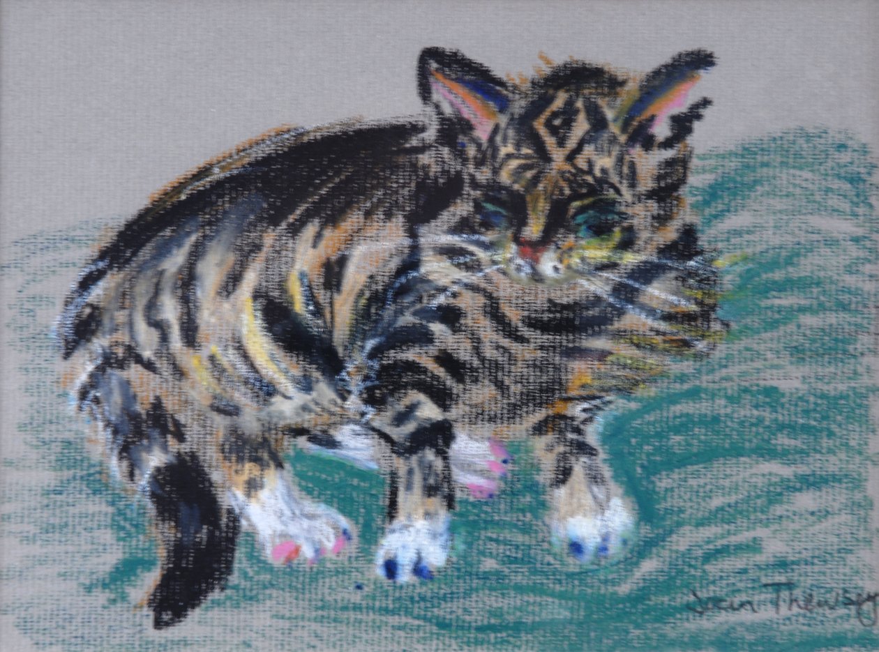 Tabby Cat, 2005 by Joan Thewsey
