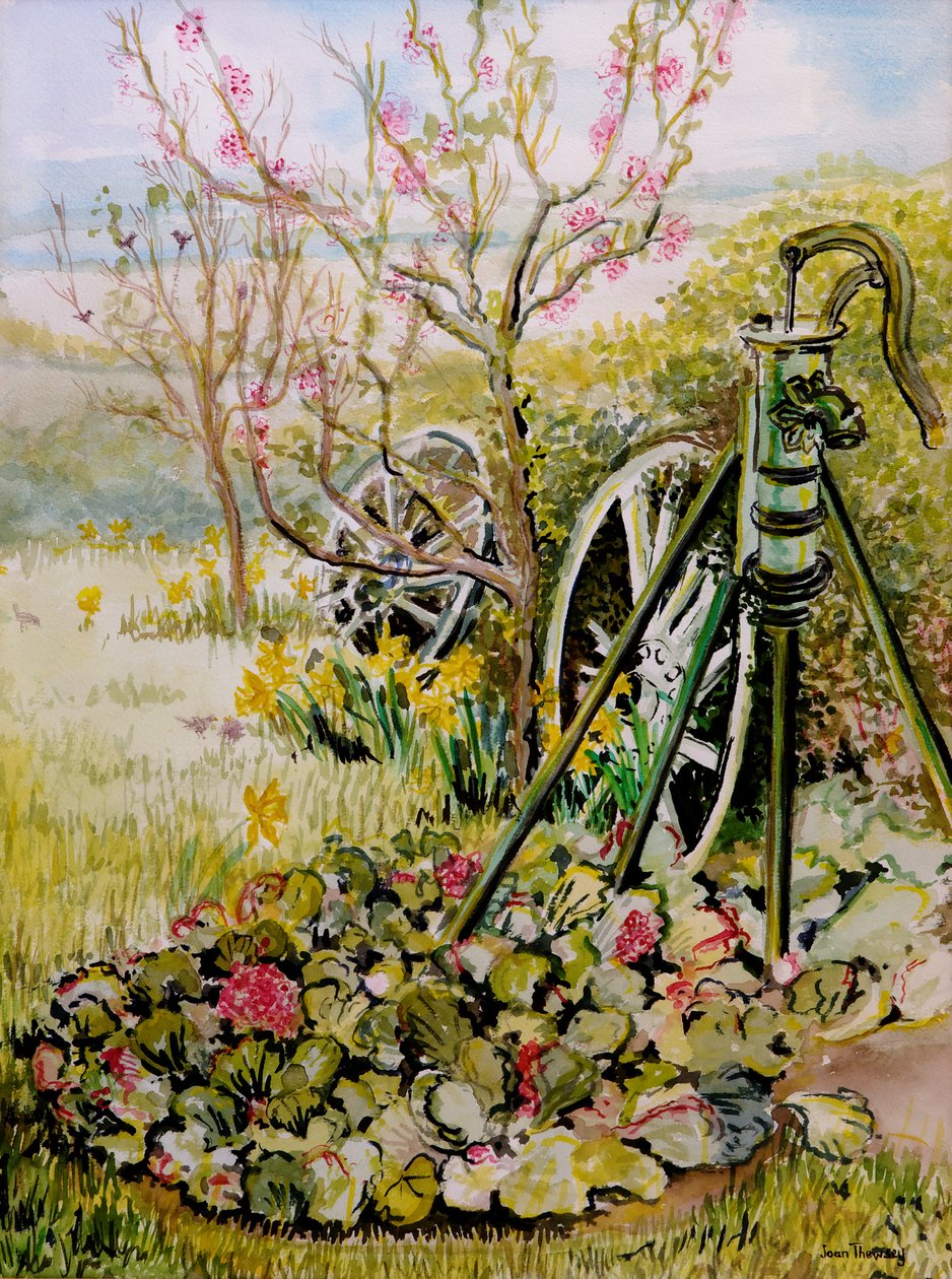 The Garden Pump by Joan Thewsey