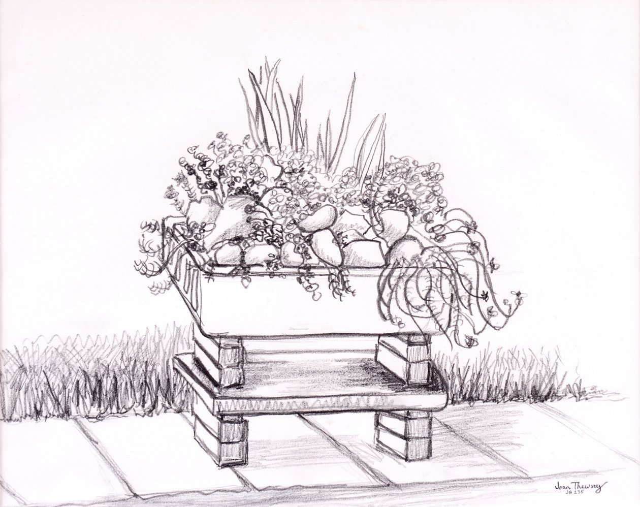 The Sink Garden by Joan Thewsey