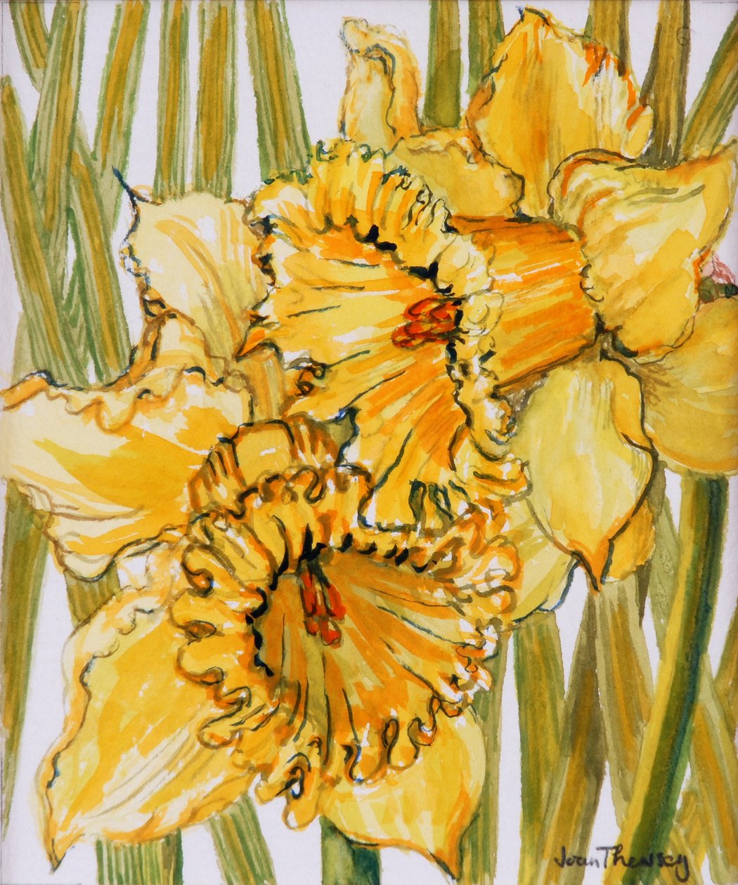 Two Daffodils by Joan Thewsey