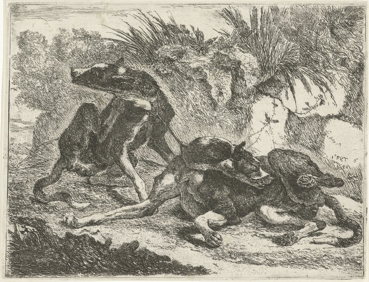 Two Dogs by Joannes Fijt
