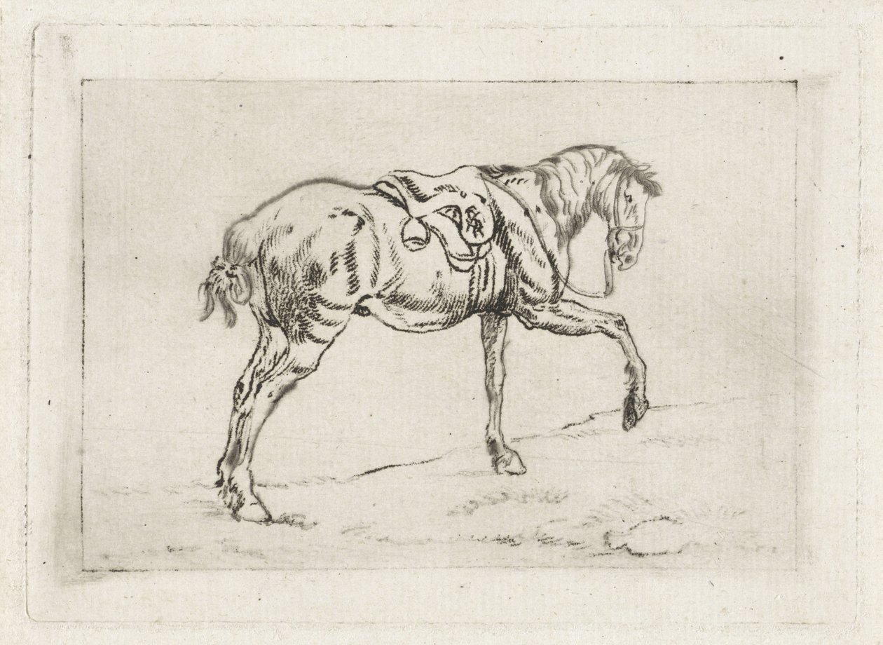 Saddled Horse by Joannes Pieter Visser Bender