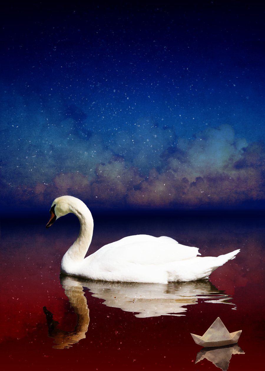Bird Kingdom 4 by Johan Lilja