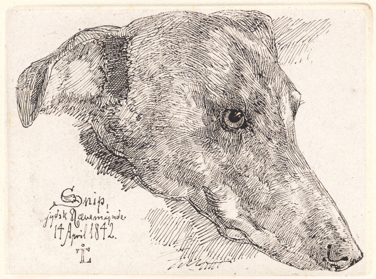 Dog Head, Snip by Johan Lundbye