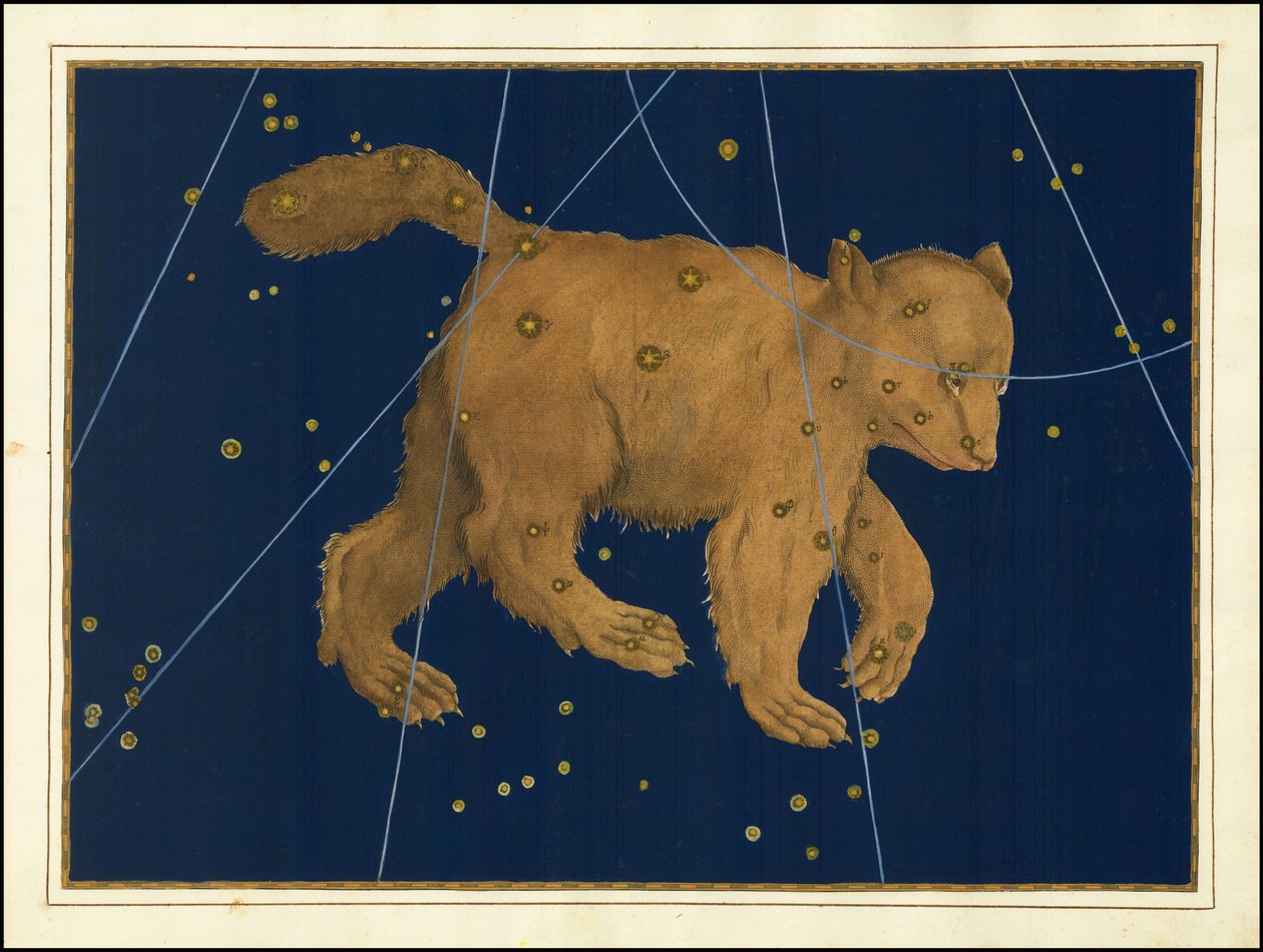 Ursa Major by Johann Bayer