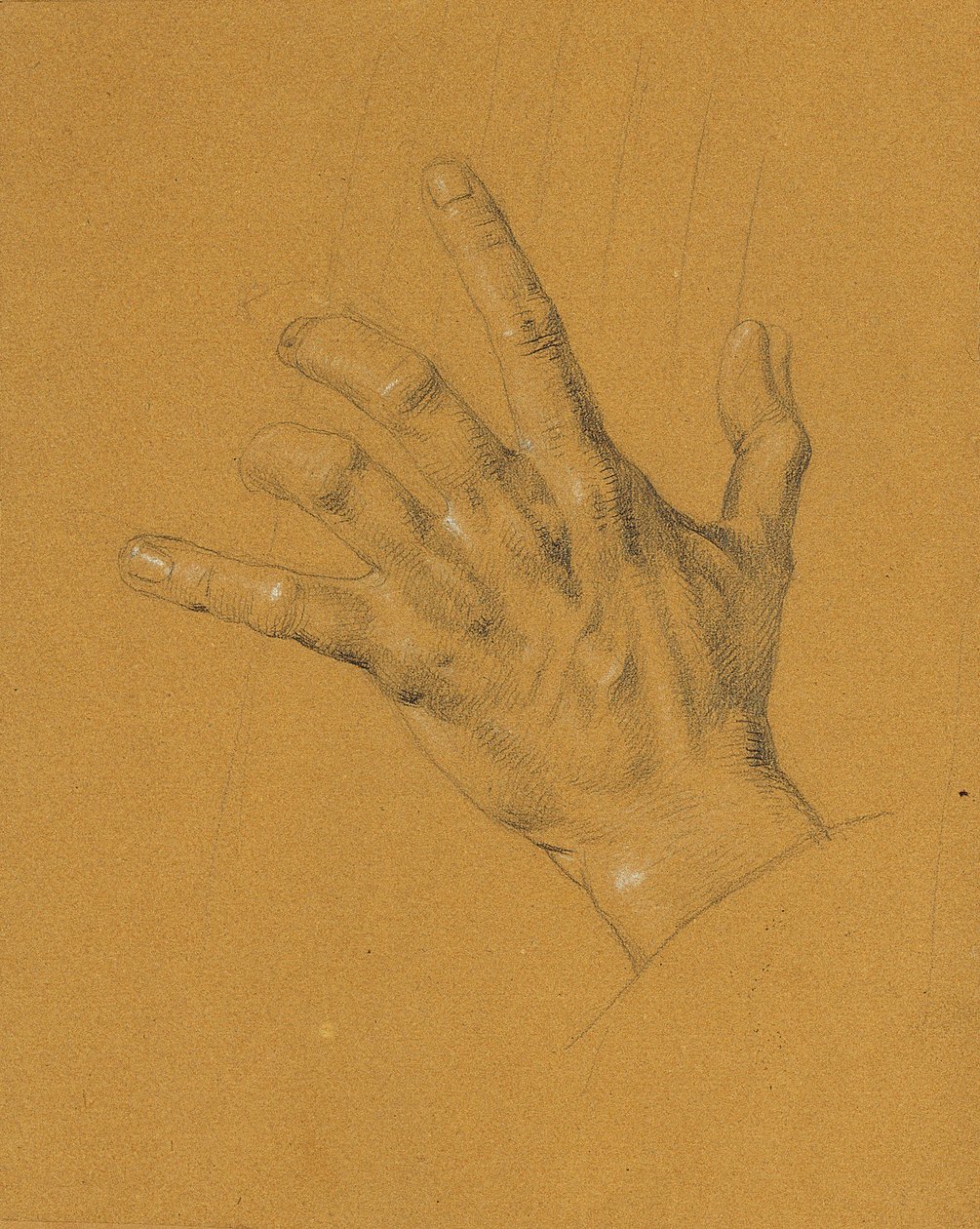 Hand Study for 