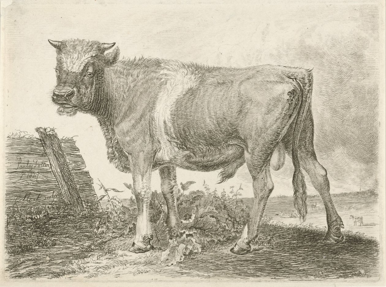 Bull by Johannes Mock