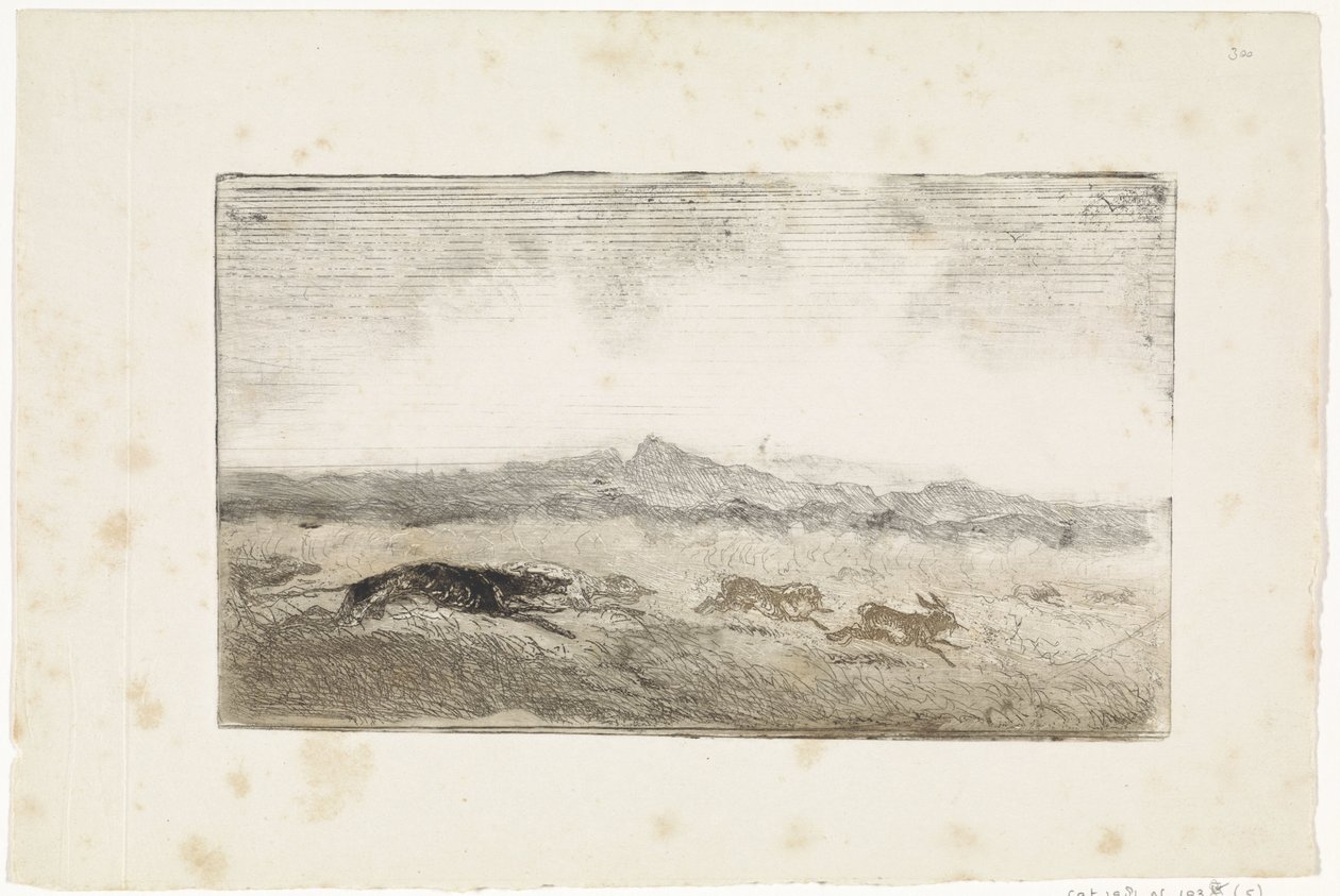 Hare Hunt by Johannes Tavenraat