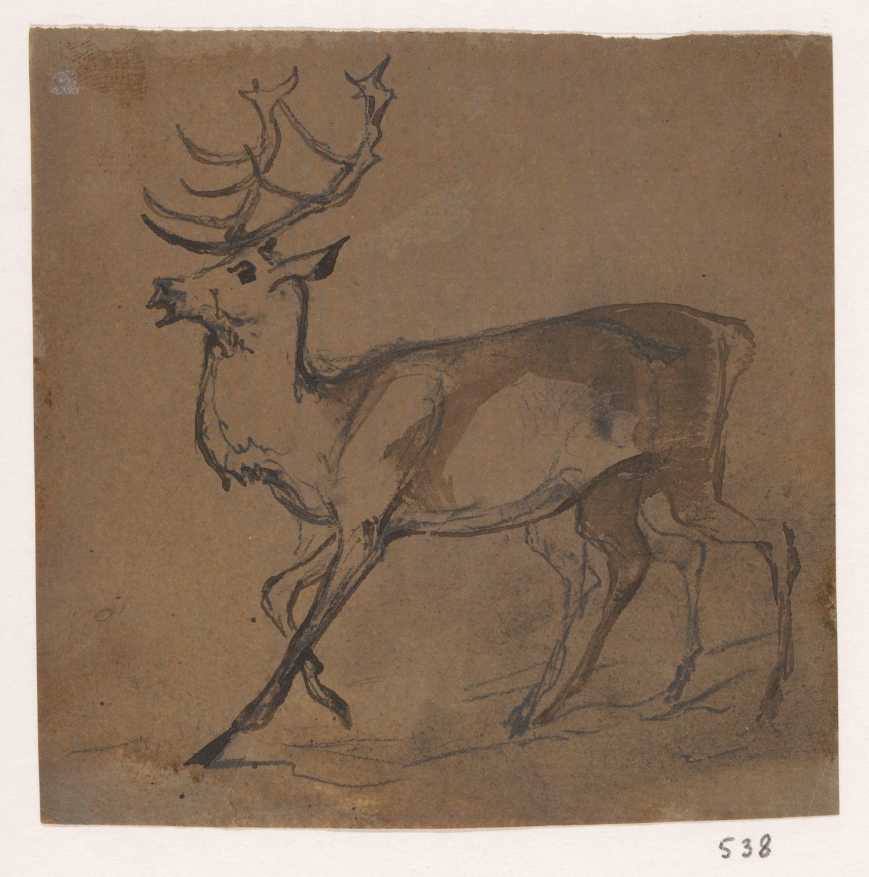 Deer by Johannes Tavenraat