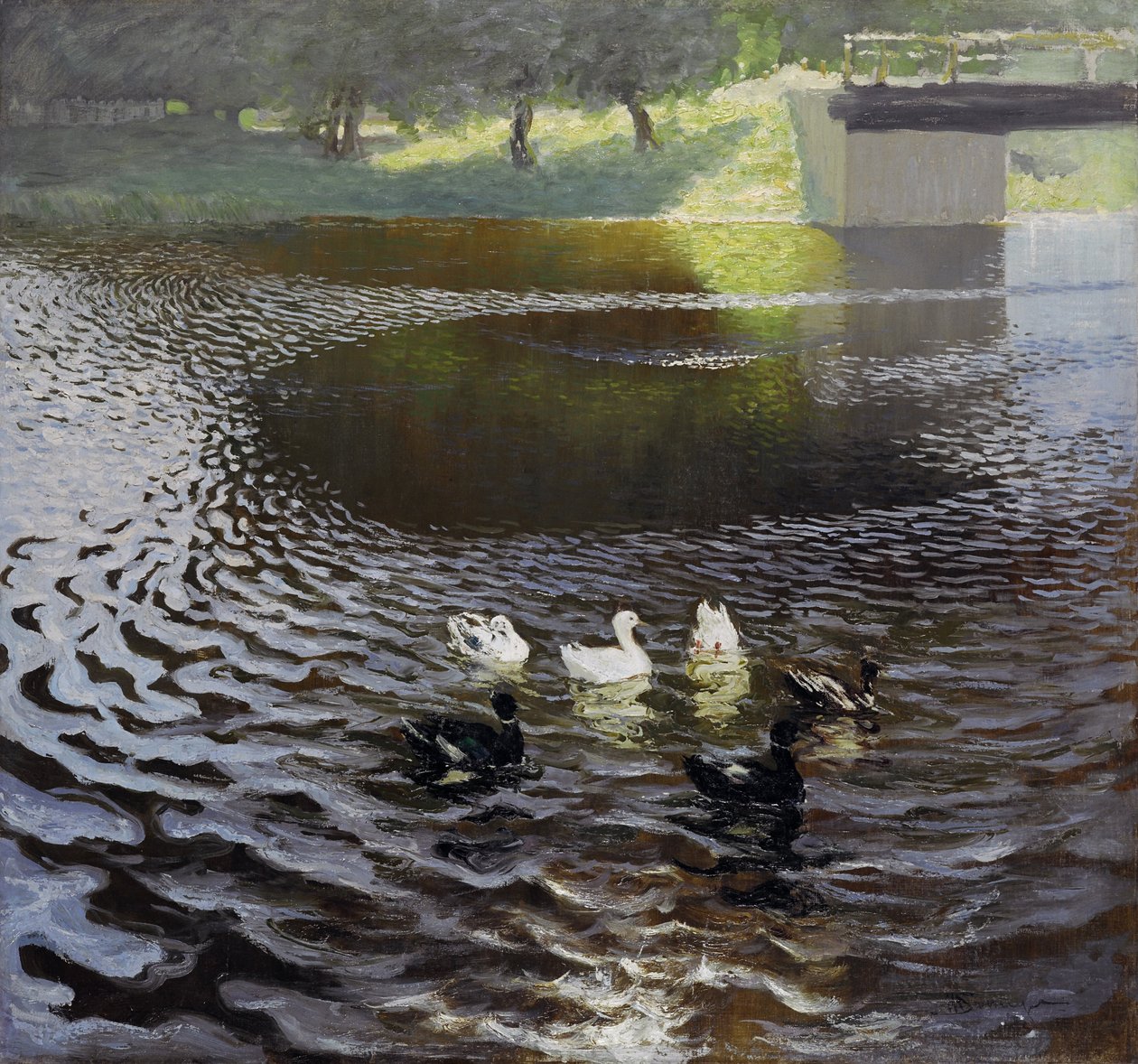 Ducks by Johans Valters