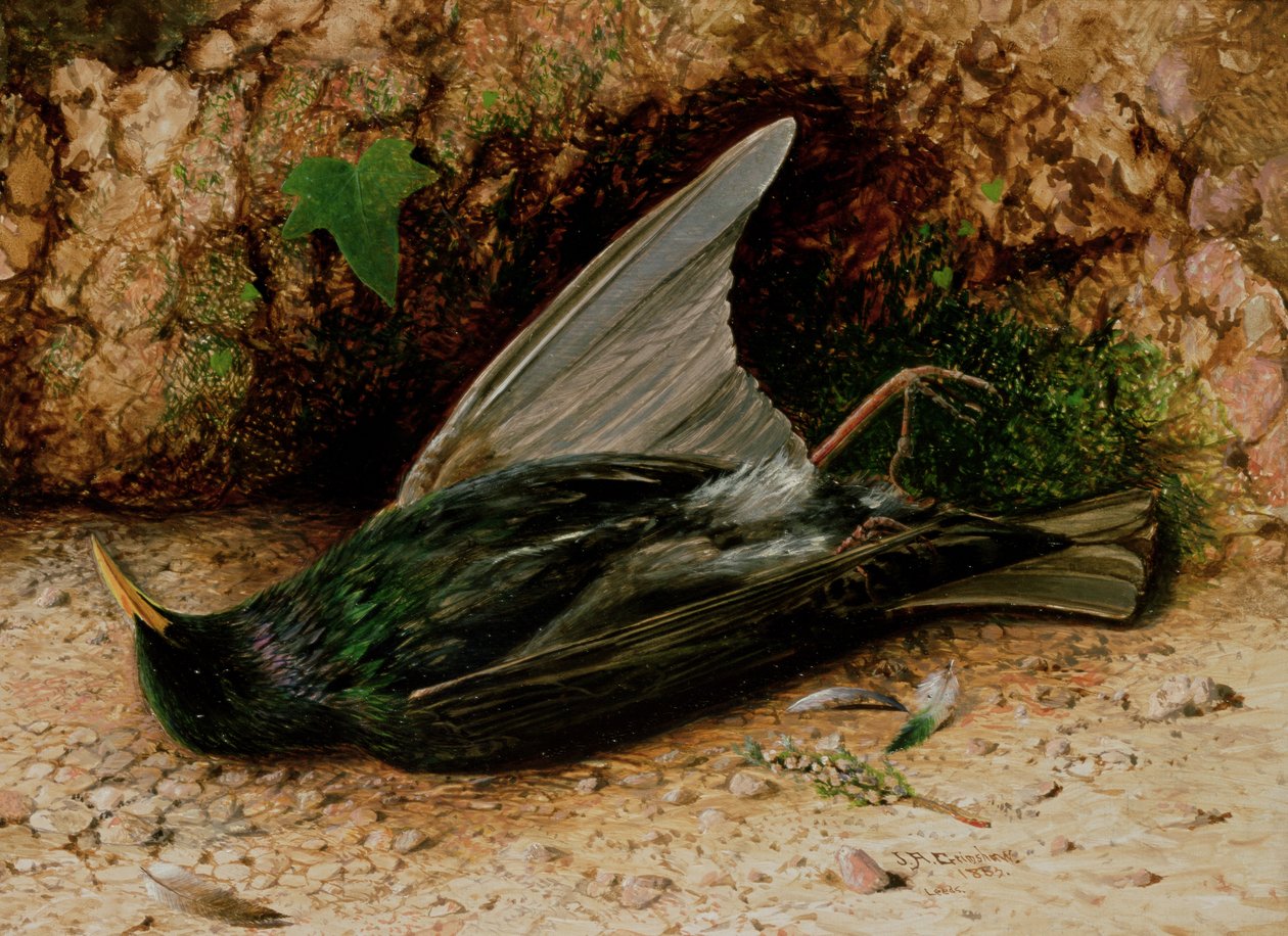 Starling by John Atkinson Grimshaw