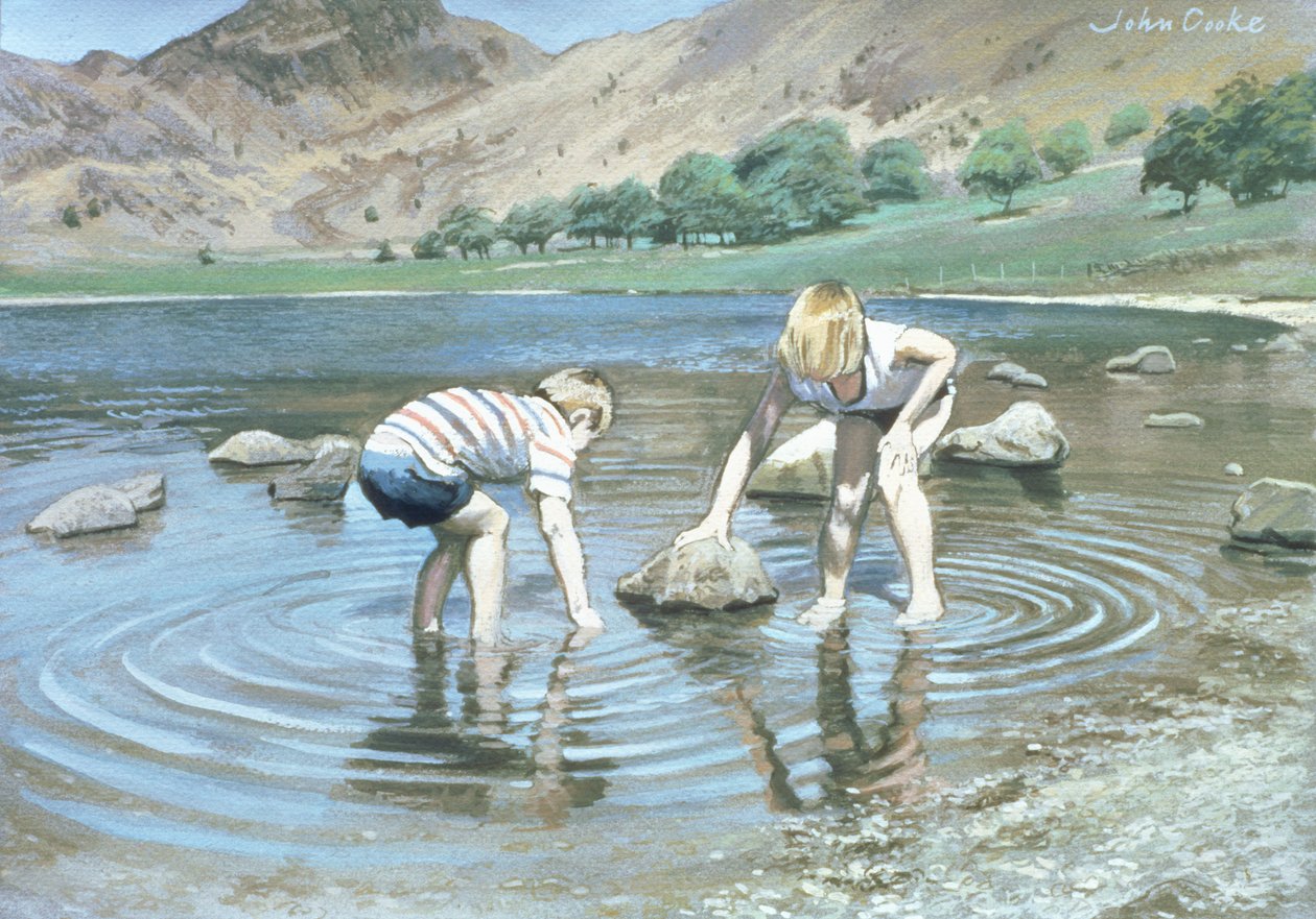 Blea Tarn Summer by John Cooke
