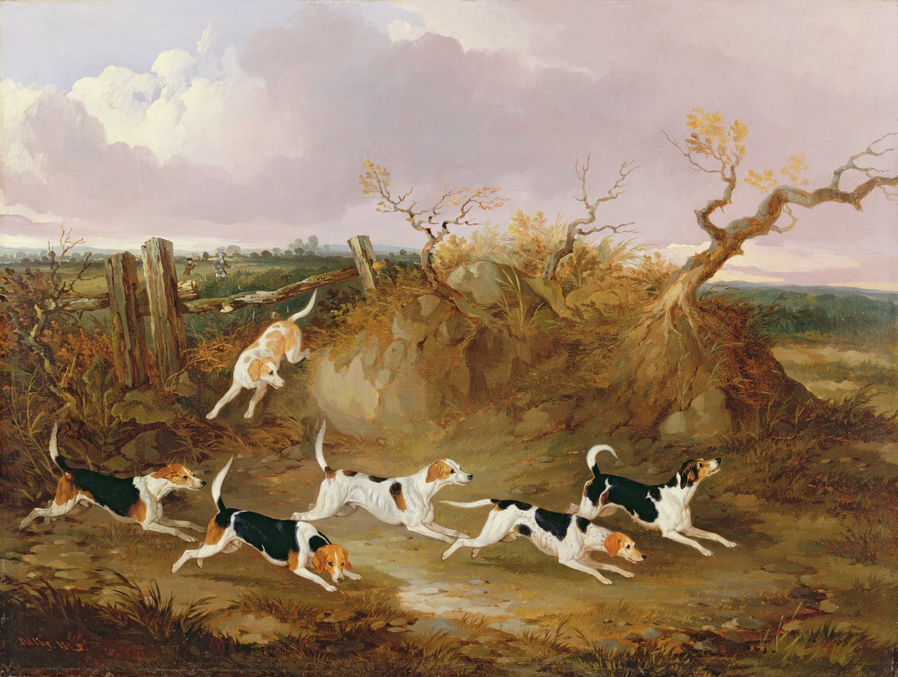 Beagles in Full Cry by John Dalby