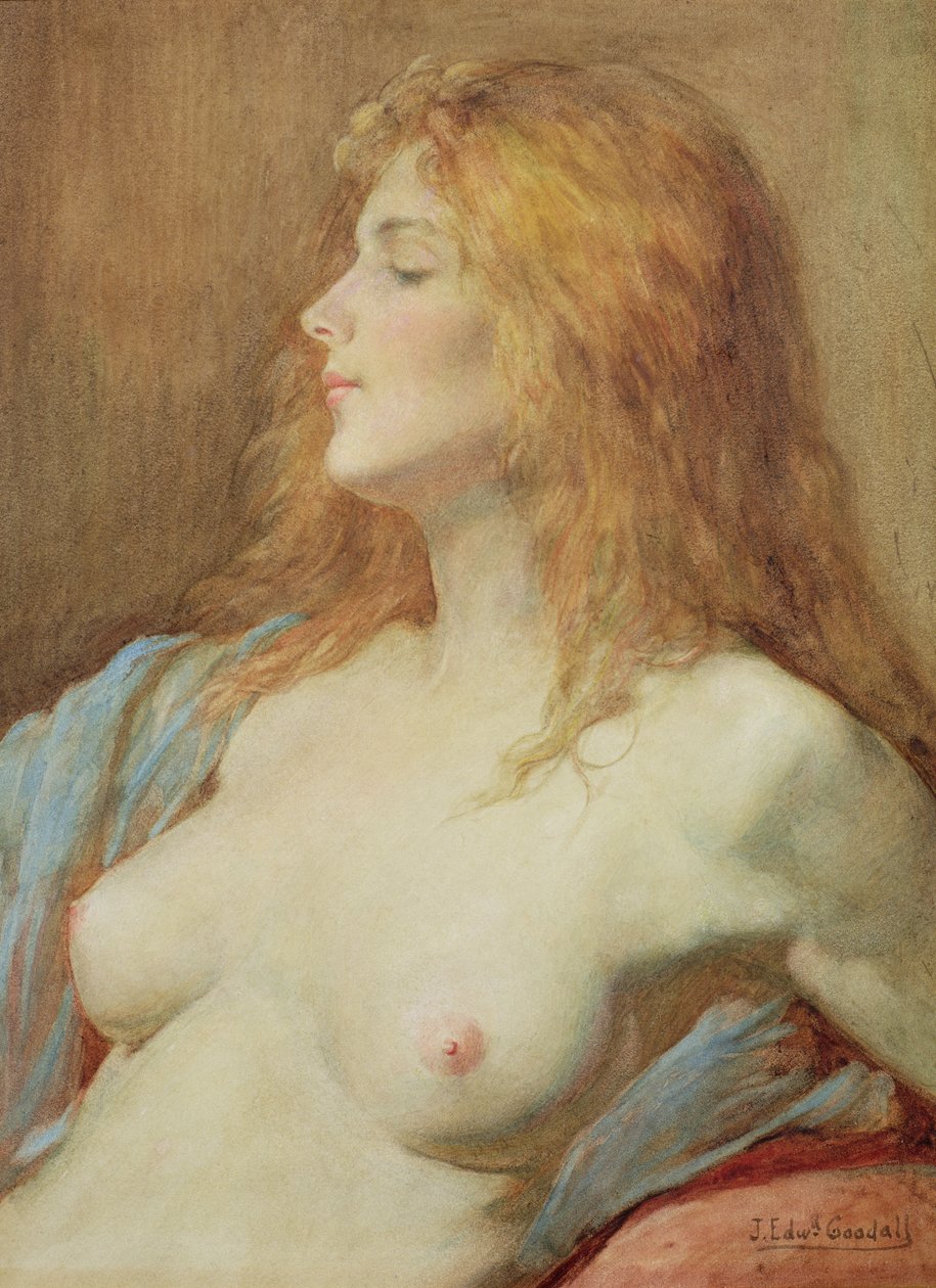 A Redhead by John Edward Goodall
