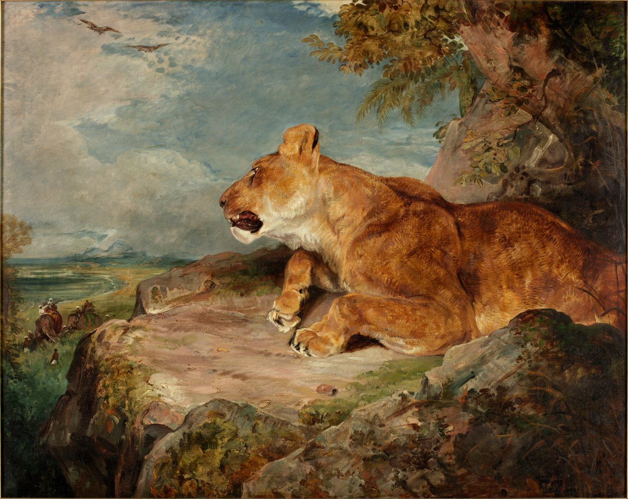 The Lioness, c.1824-27 by John Frederick Lewis