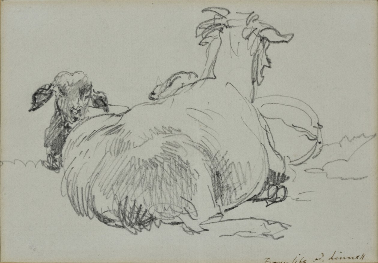 Two Sheep by John Linnell