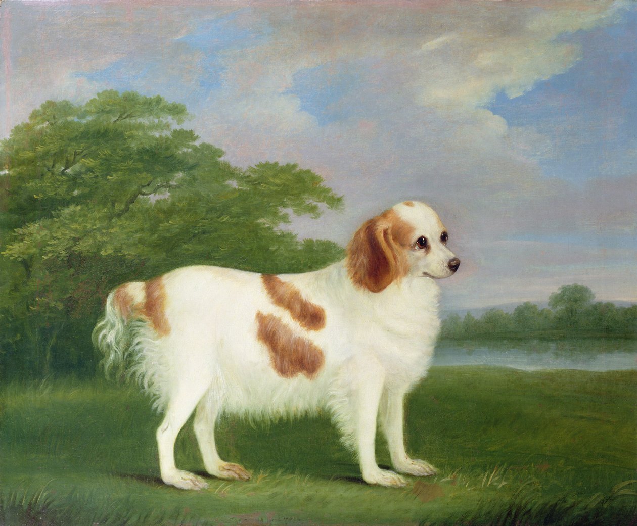 Spaniel in a Landscape by John Nott Sartorius