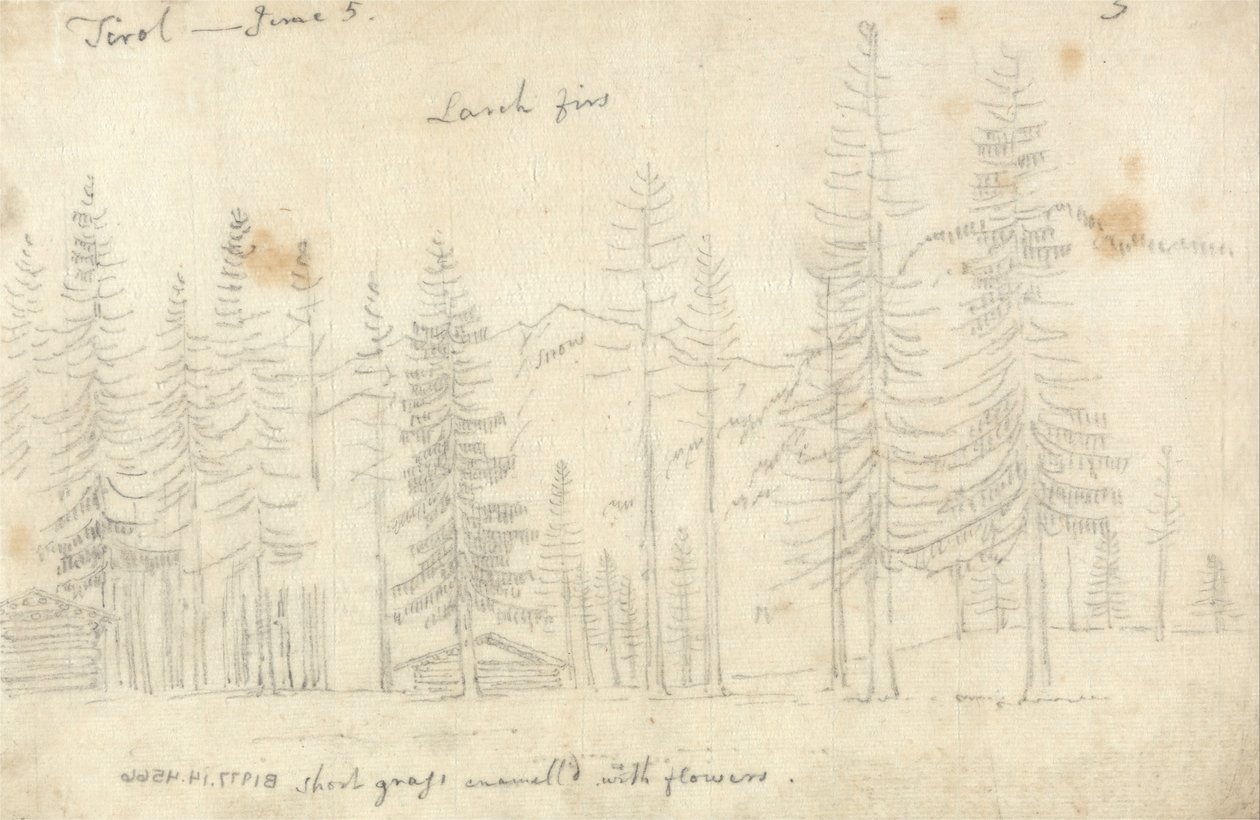 In the Tyrol by John Robert Cozens