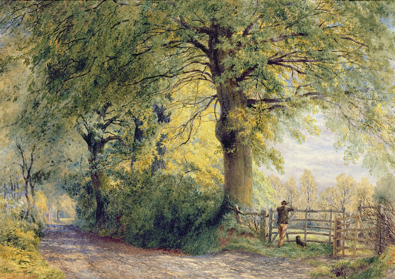 Under the Beeches by John Steeple