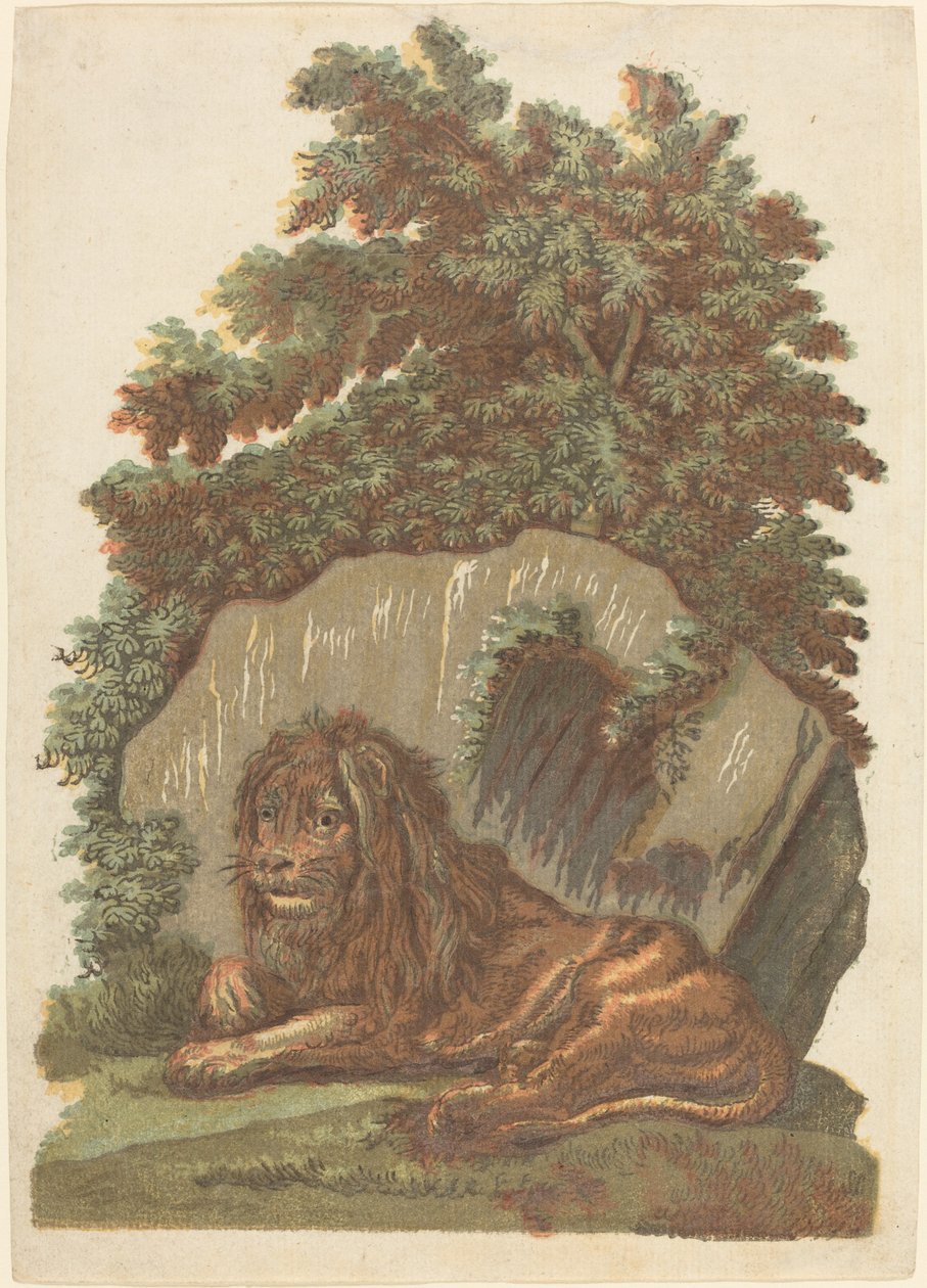 The Lion by John Baptist Jackson
