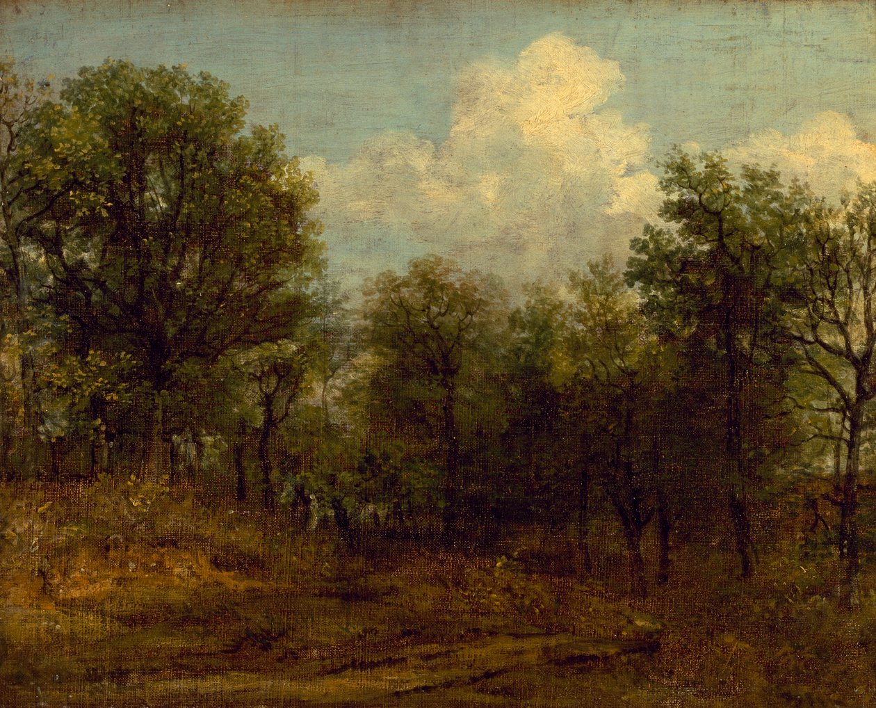 A Wood by John Constable