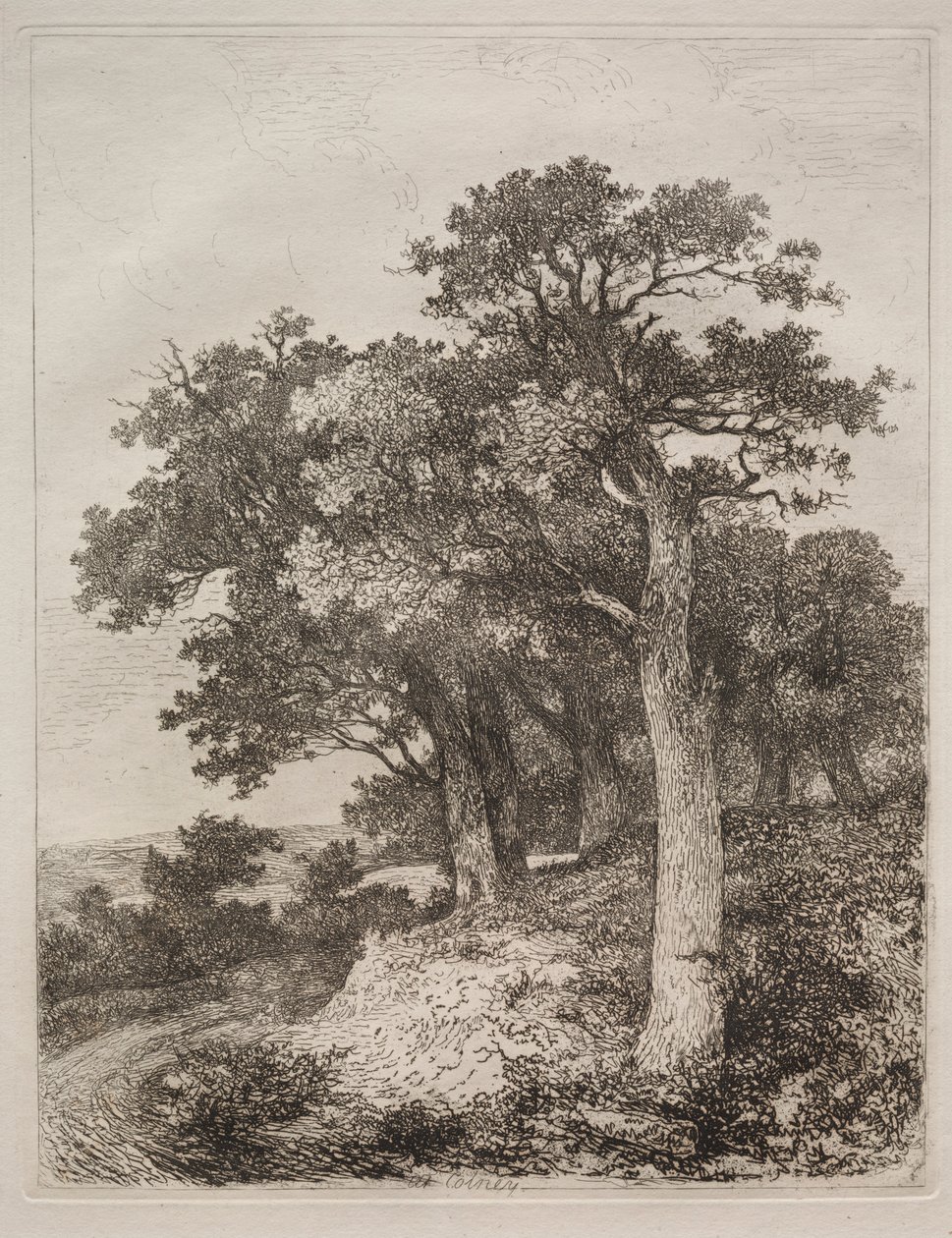 At Colney by John Crome