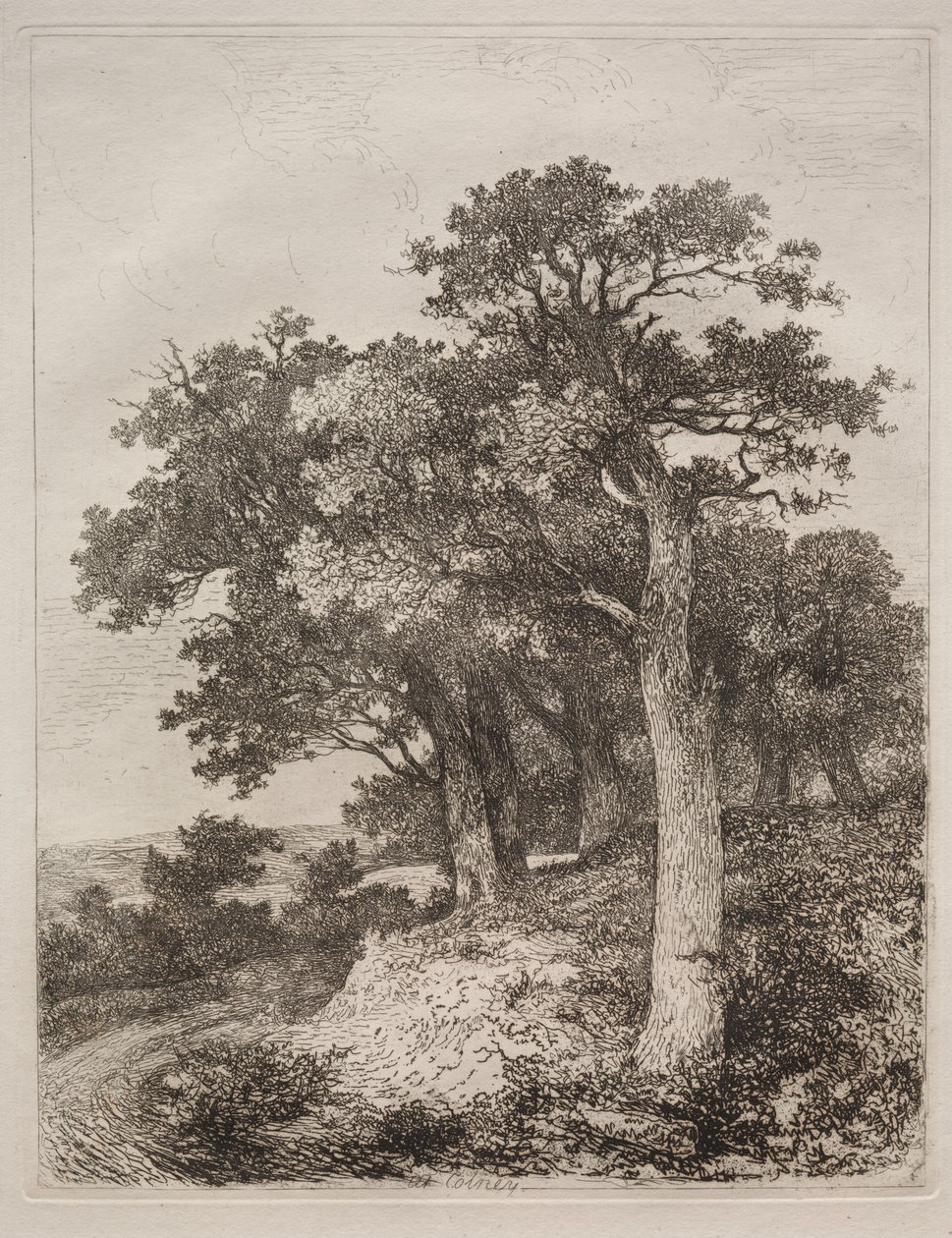 At Colney by John Crome