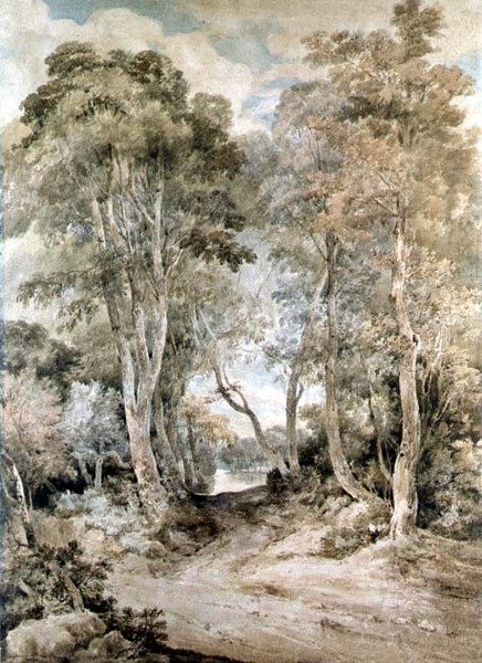 Wood Scene by John Crome