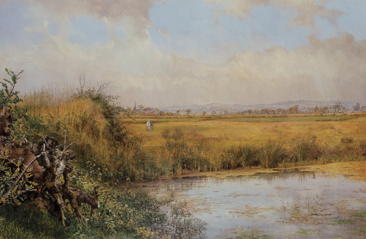 Unknown Image by John Edward Newton
