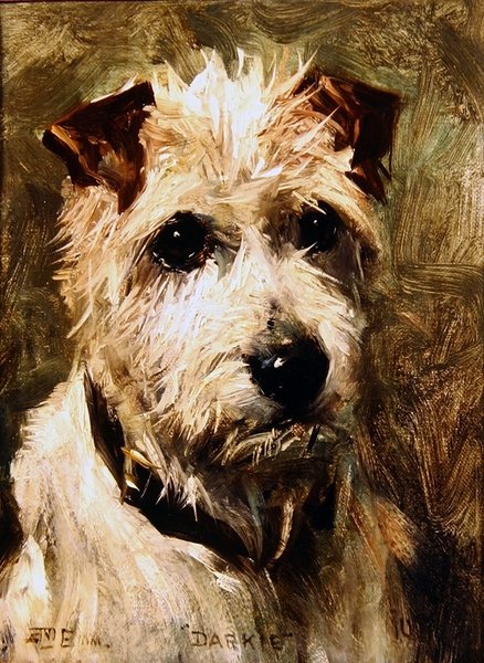 Darkie by John Emms