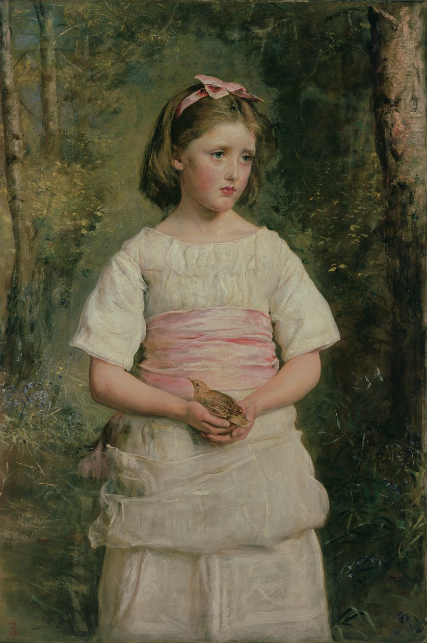 Dropped from the Nest by John Everett Millais